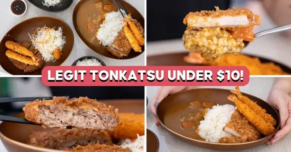 Tsuzuku Review: Affordable Curry Katsu By Japanese-Singaporean Couple In Jalan Besar