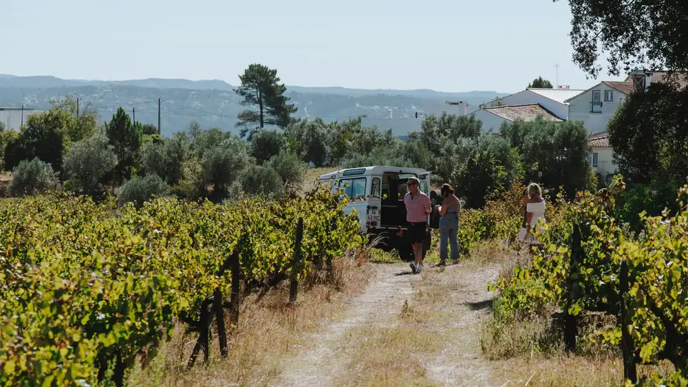 Margaval celebra la agricultura ecológica con una experiencia que va del viñedo a la mesa