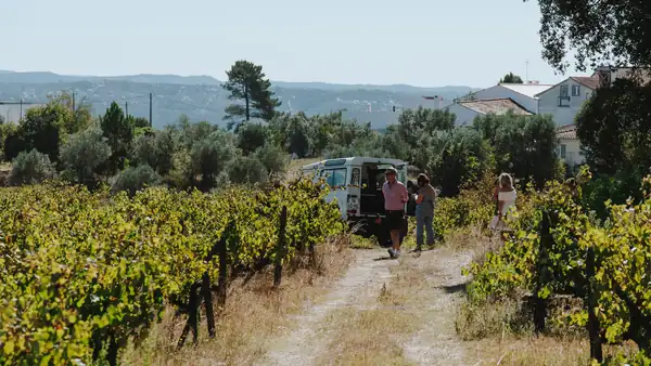 Margaval celebrates organic farming with a vineyard-to-table experience