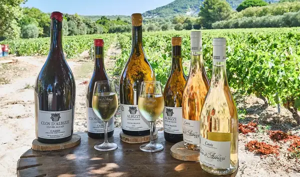 Una escapada sensorial al corazón de la región vinícola de Cassis, en Clos d'Albizzi