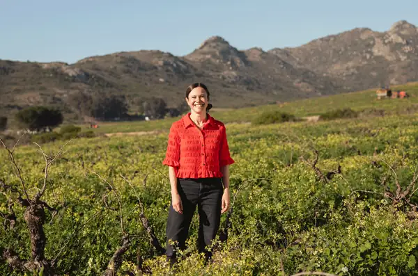‘It has been a defining decade for the Cape’s wine industry and the next 10 years are even more exciting’