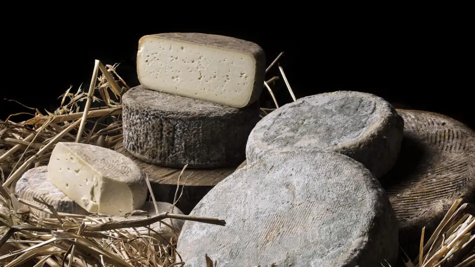 Saba Formaggi, una granja de quesos de oveja y cabra en la Maremma