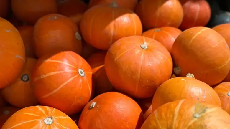 El estado de EE. UU. que produce más calabazas