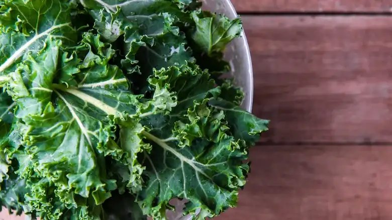 Kale Vs. Kalettes: What's The Difference?