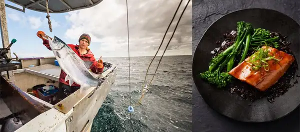 Wild Alaskan salmon, an ingredient that deserves a place in the kitchen