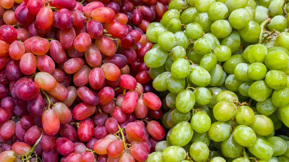 Grapes and grape therapy: Benefits, myths, and how to avoid overdoing it with sugar