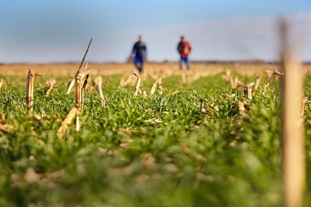 PepsiCo, Mars y ADM se unen para un proyecto de agricultura regenerativa en Polonia