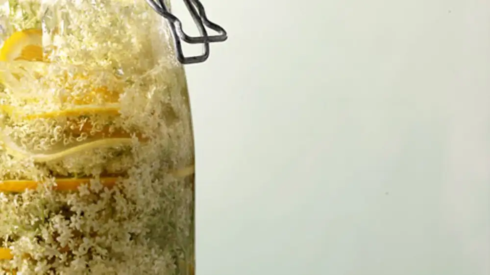 Make your own elderflower syrup: A refreshing summer drink and the perfect gift