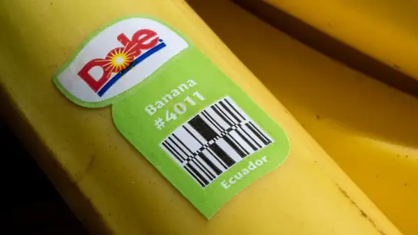What's The Point Of Stickers On Fruit, And Are They Edible?