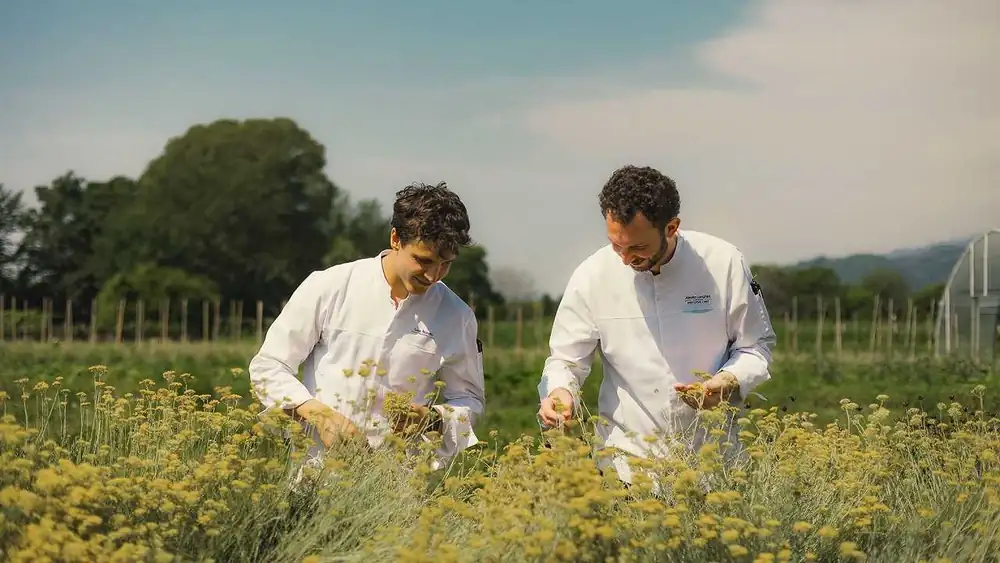 ¿Qué es Ca' Apollonio Heritage, el primer restaurante sostenible del Véneto?