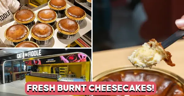 Cat & The Fiddle Has New Freshly-Baked Basque Cheesecakes And Loaded Sandwiches