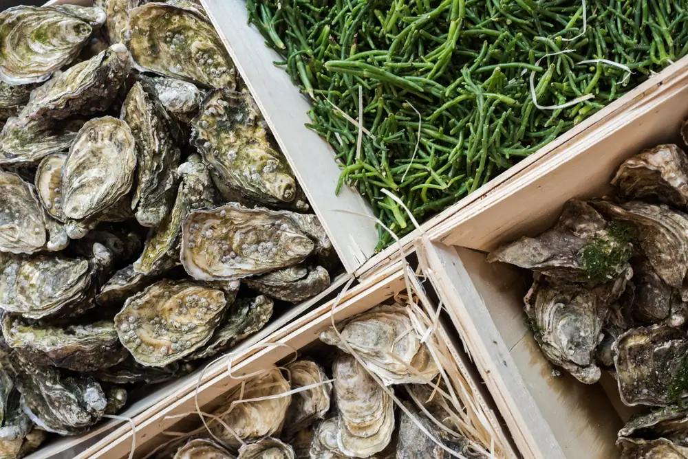 Here's What 3 French Wine Pros Pair With Their Oysters