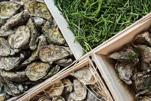 Here's What 3 French Wine Pros Pair With Their Oysters