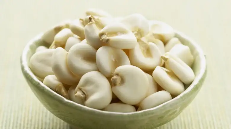 How does nixtamalized corn differ from regular corn?