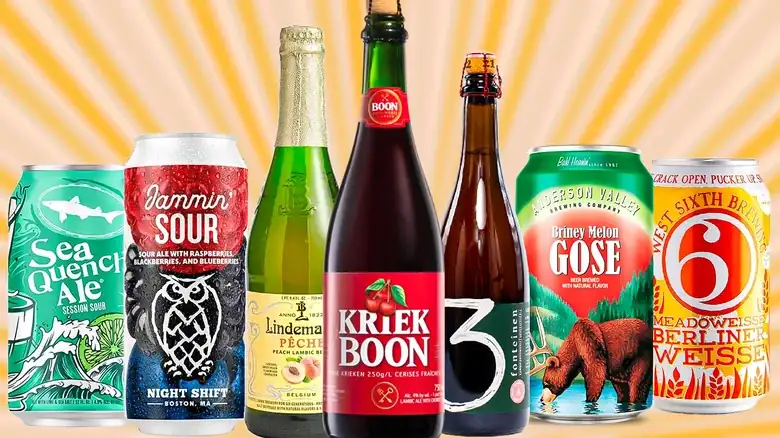 The Absolute Best Sour Beers For Cider Drinkers