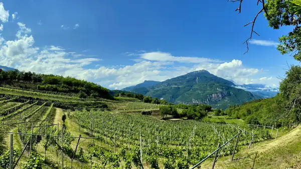 The story of the Alps