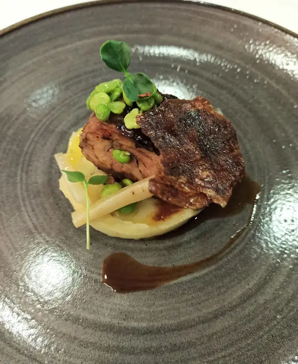 Lamb terrine with broad beans and salsify
