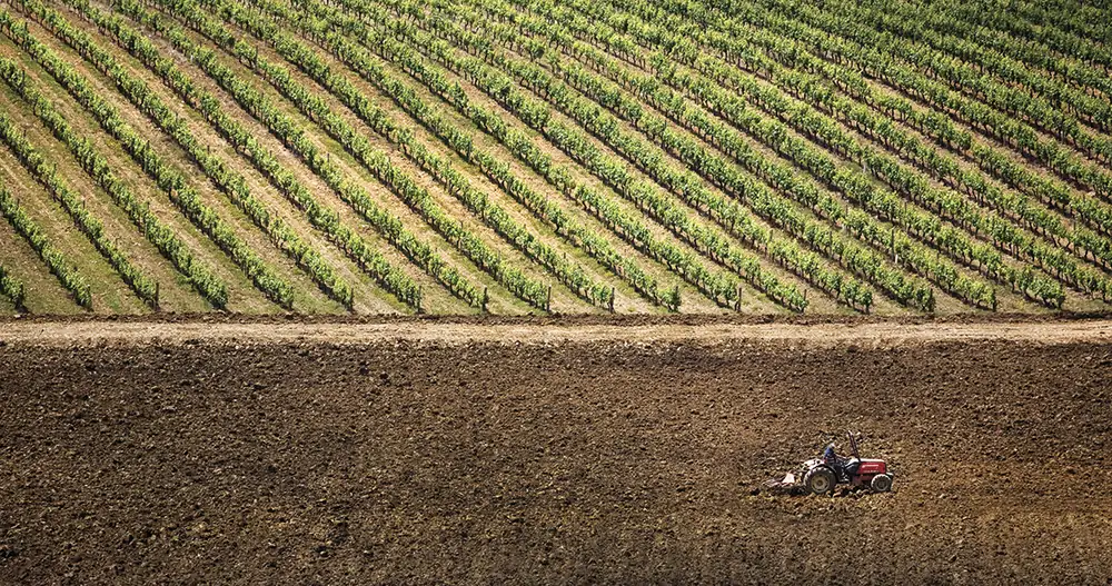 New world wine map reveals: Bairrada vineyards are 4.4°C warmer than Champagne