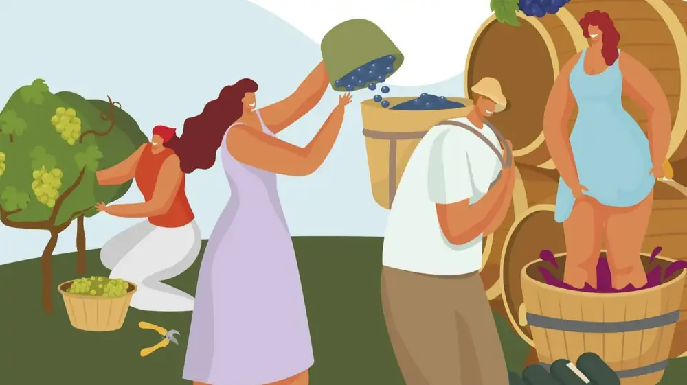The Pagos del Rey Wine Museum celebrates the grape harvest with wine, music and family activities