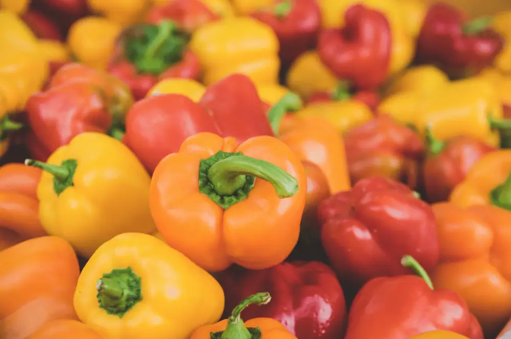 Could TeakOrigin's data-based "language" around food quality help ailing supply chains during Covid-19?