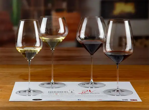 Maximilian Riedel explains why a glass changes the perception of a wine