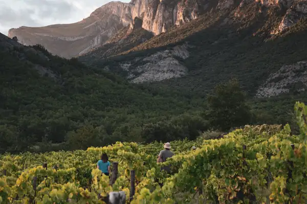 Vignerons de Huesca, un compromiso con el territorio, las uvas autóctonas y los vinos sin pretensiones