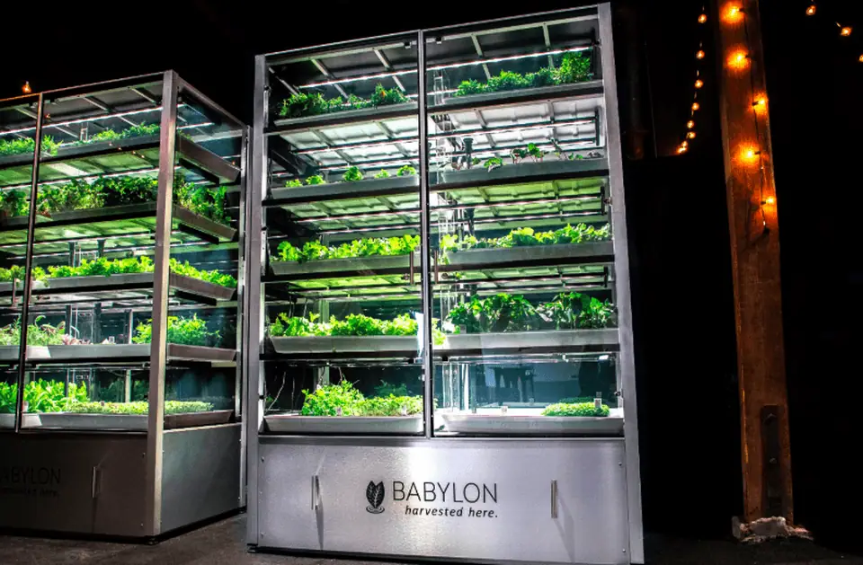 Babylon Micro-Farms closes $2.3m seed round