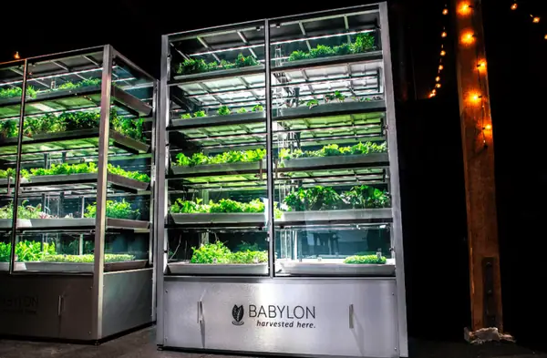 Babylon Micro-Farms cierra una ronda de financiación inicial de 2,3 millones de dólares