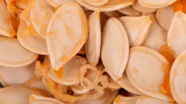 Cantaloupe melon seeds deserve to be roasted