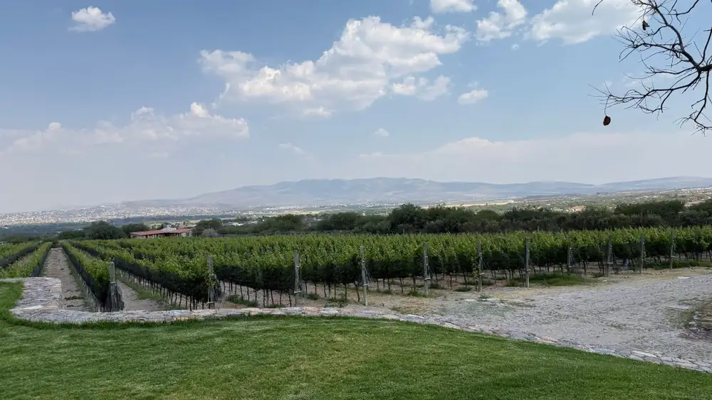 Lugares para comer, beber y explorar en San Miguel de Allende