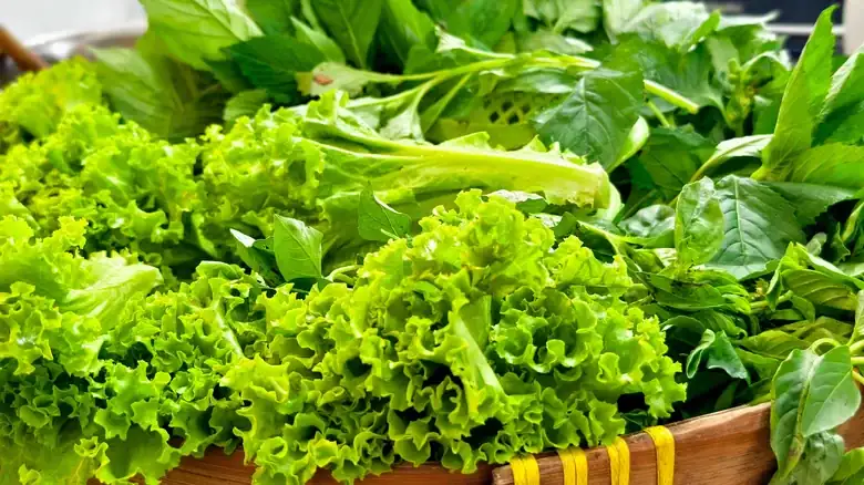 The Best Leafy Greens To Convert Your Sandwich Into A Lettuce Wrap