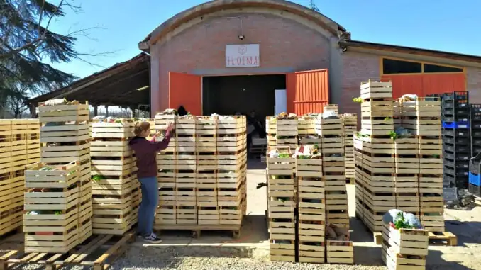 Fruit and vegetables delivered to your home in Bologna, where you can buy organic and local products online