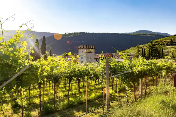 Milk Street Cooking Retreat: Emilia-Romagna with Viola Buitoni