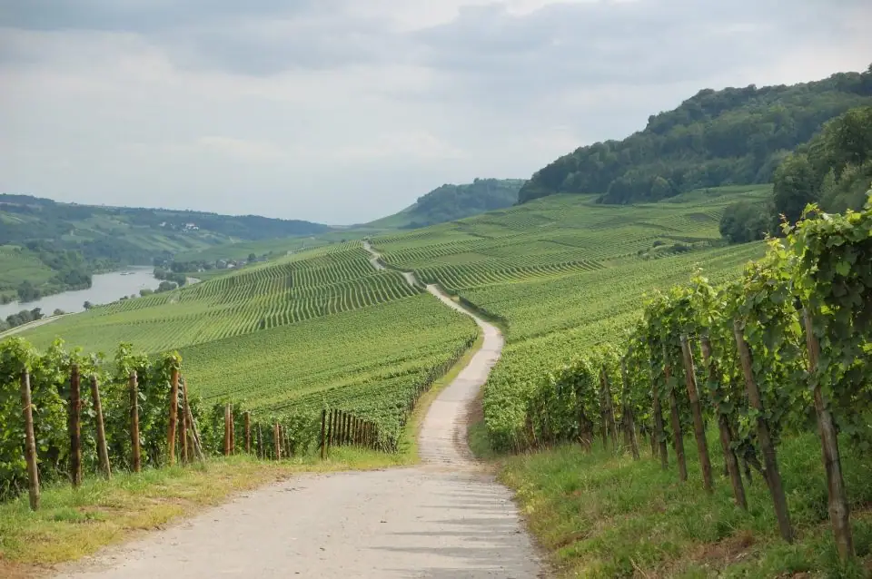Best 15 Wines From Moldova Republic