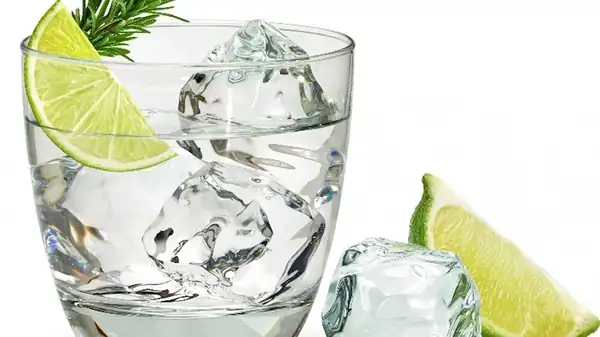 The Reason You Should Never Skimp Out On Ice For Gin And Tonics