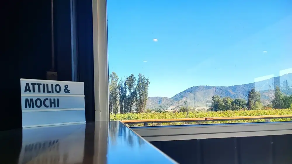 Attilio and Mochi: from importing wine to becoming winemakers