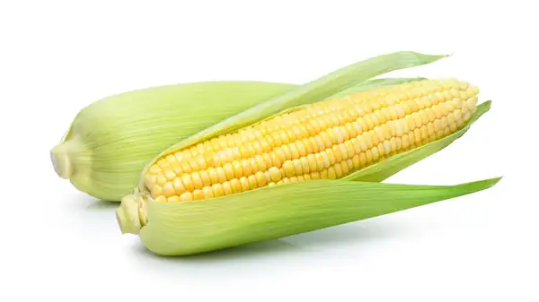 How To Store Corn On The Cob If You're Not Using It Right Away