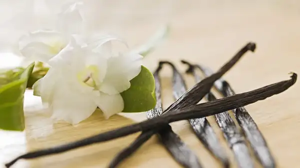 What To Look For When Shopping For Vanilla Beans