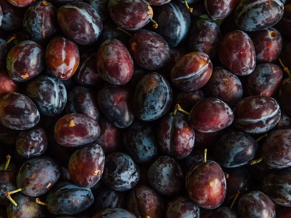 Esta empresa de mermeladas de la isla Orcas transforma las ciruelas locales en vibrantes conservas de temporada.