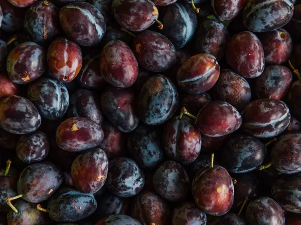 This Orcas Island Jam Company Transforms Local Plums into Vibrant Seasonal Preserves