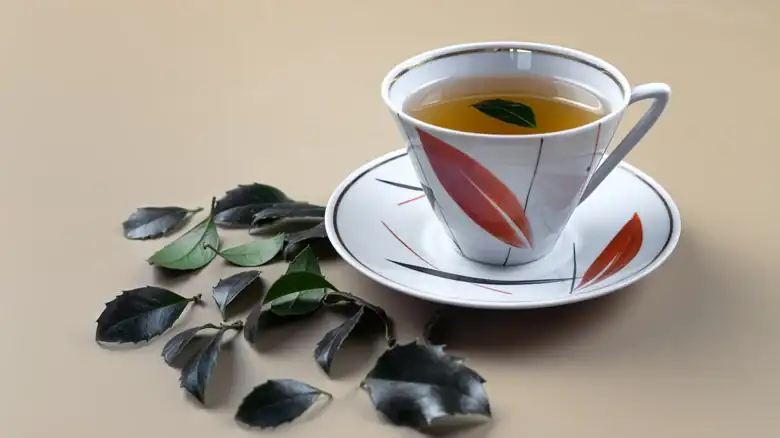 Yaupon Is An Energizing Tea That's Making A Comeback