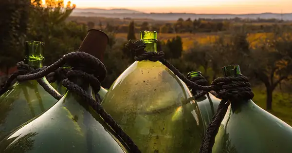Por qué algunos vinos añejos se sellaban con aceite de oliva