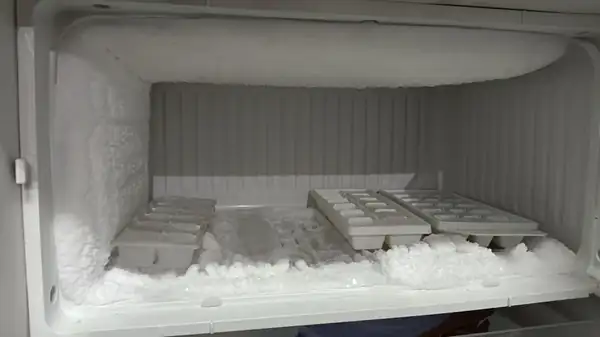 How To Store Frozen Food While Defrosting The Freezer