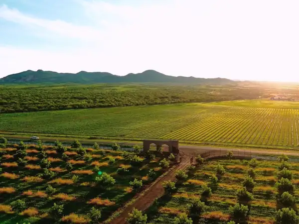 Descubre Casa Vazqueño: una nueva forma de experimentar el vino