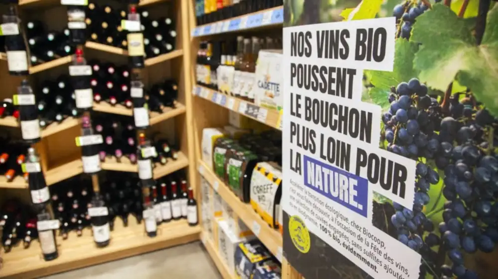 Biocoop Wine Fair 2026: Bottles not to be missed