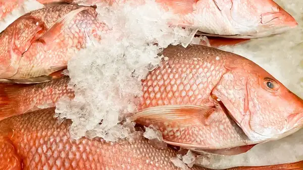 The Fish You Might Want To Avoid Ordering In Restaurants