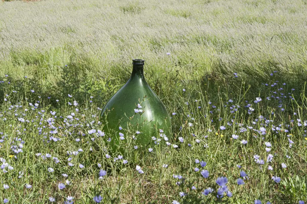 San Miniato: a cosmos of grape growing
