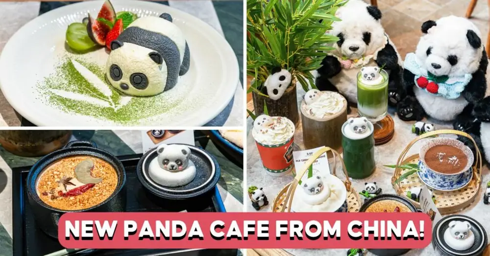Panda-Themed Cafe From Chengdu Opens In Somerset With Mala Coffee, Sichuan Steak And More