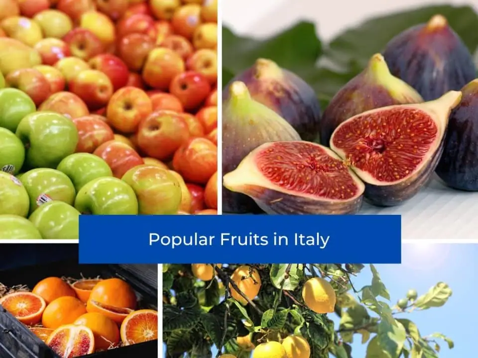 From Farm to Table: Italy’s Most Popular Homegrown Fruits